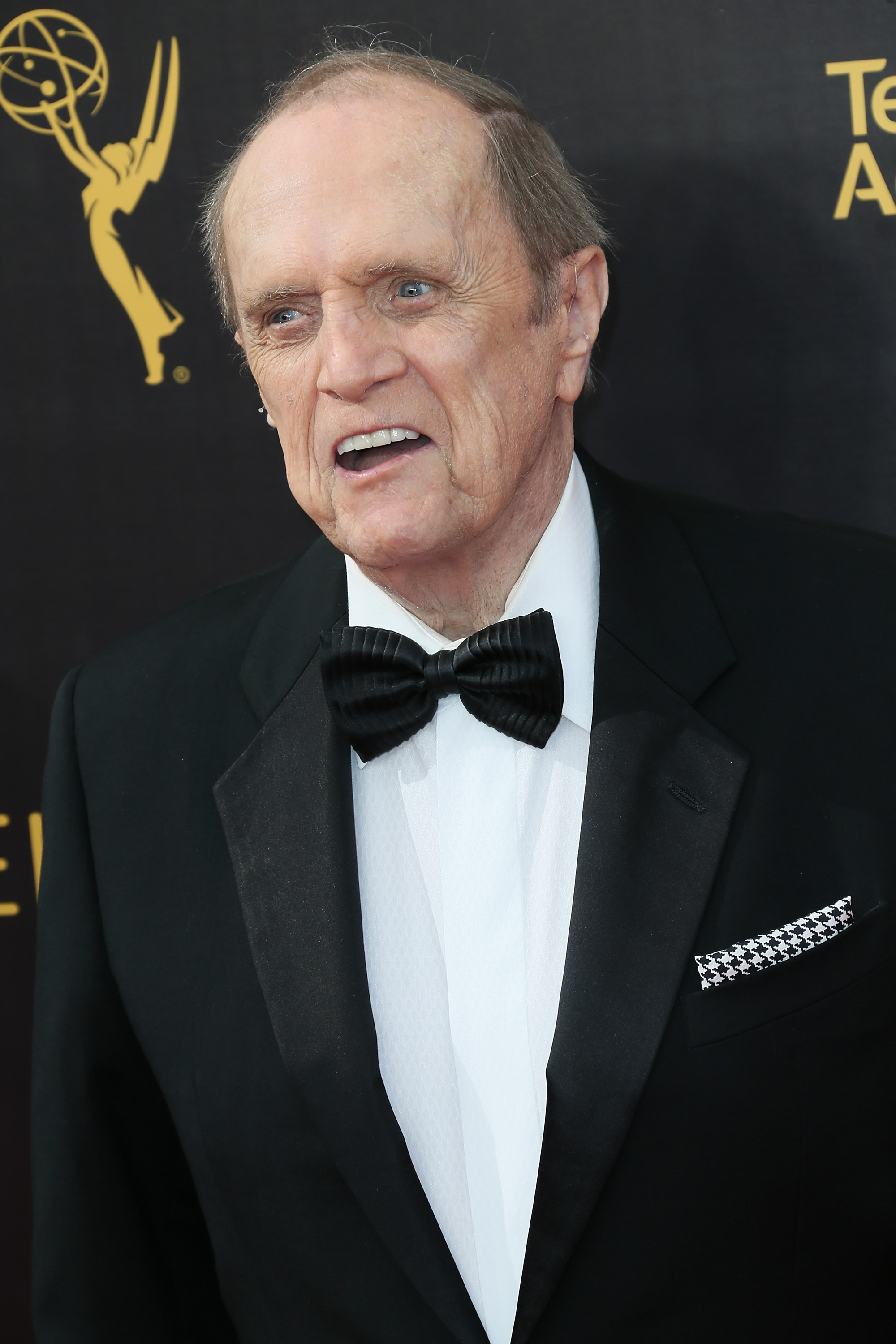 Bob Newhart at the 2016 Creative Arts Emmy Awards in Los Angeles on September 10, 2016 | Source: Getty Images