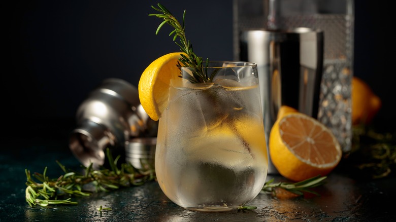 Gin and tonic cocktail with citrus