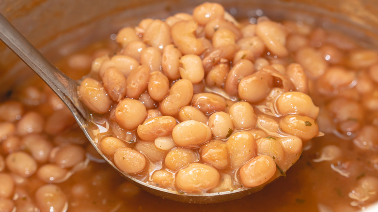 Ladle full of cooked kidney beans