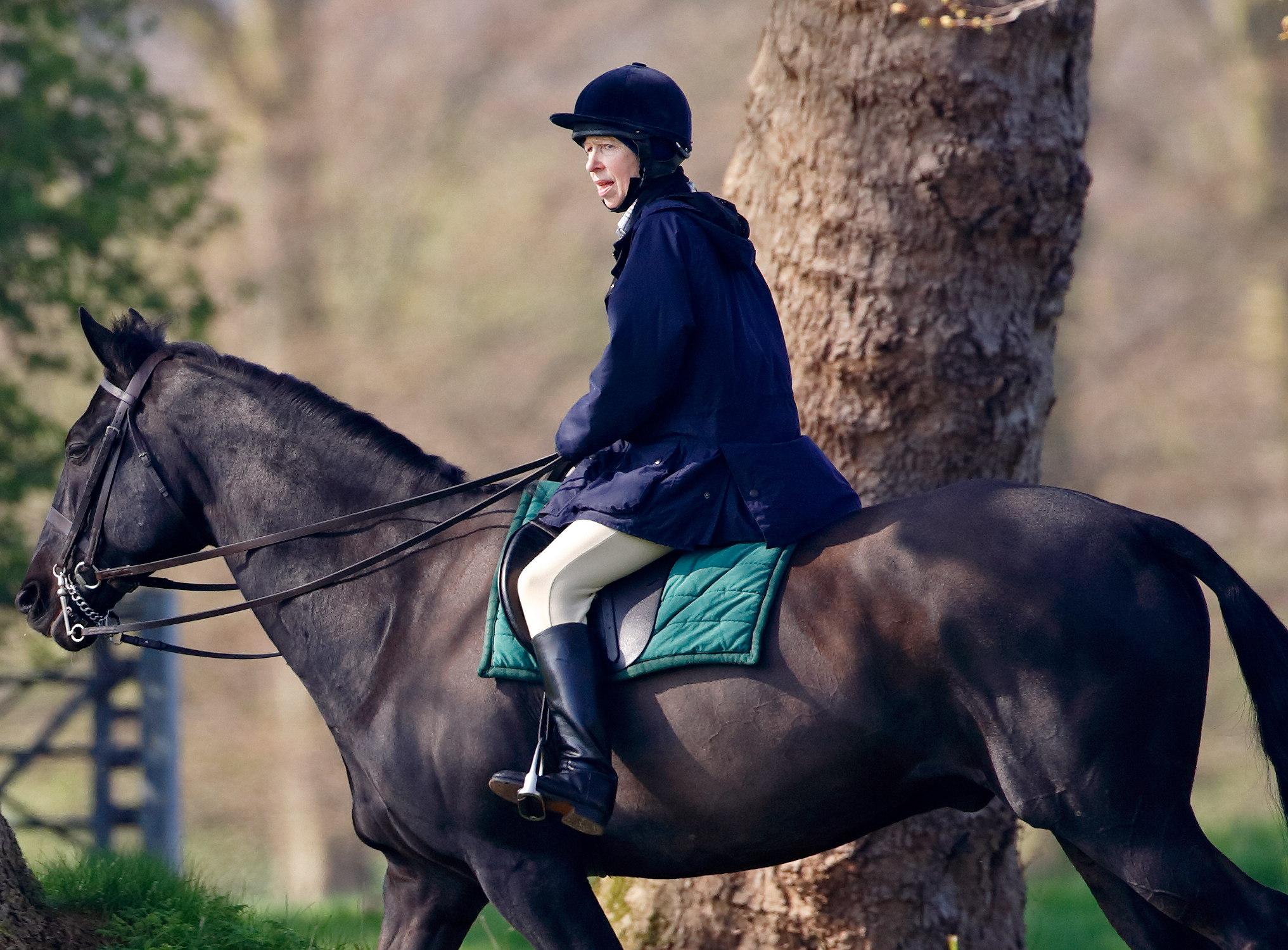 Princess Anne seen horse riding in the grounds of Windsor Castle in Windsor, England on April 22, 2006 | Source: Getty Images